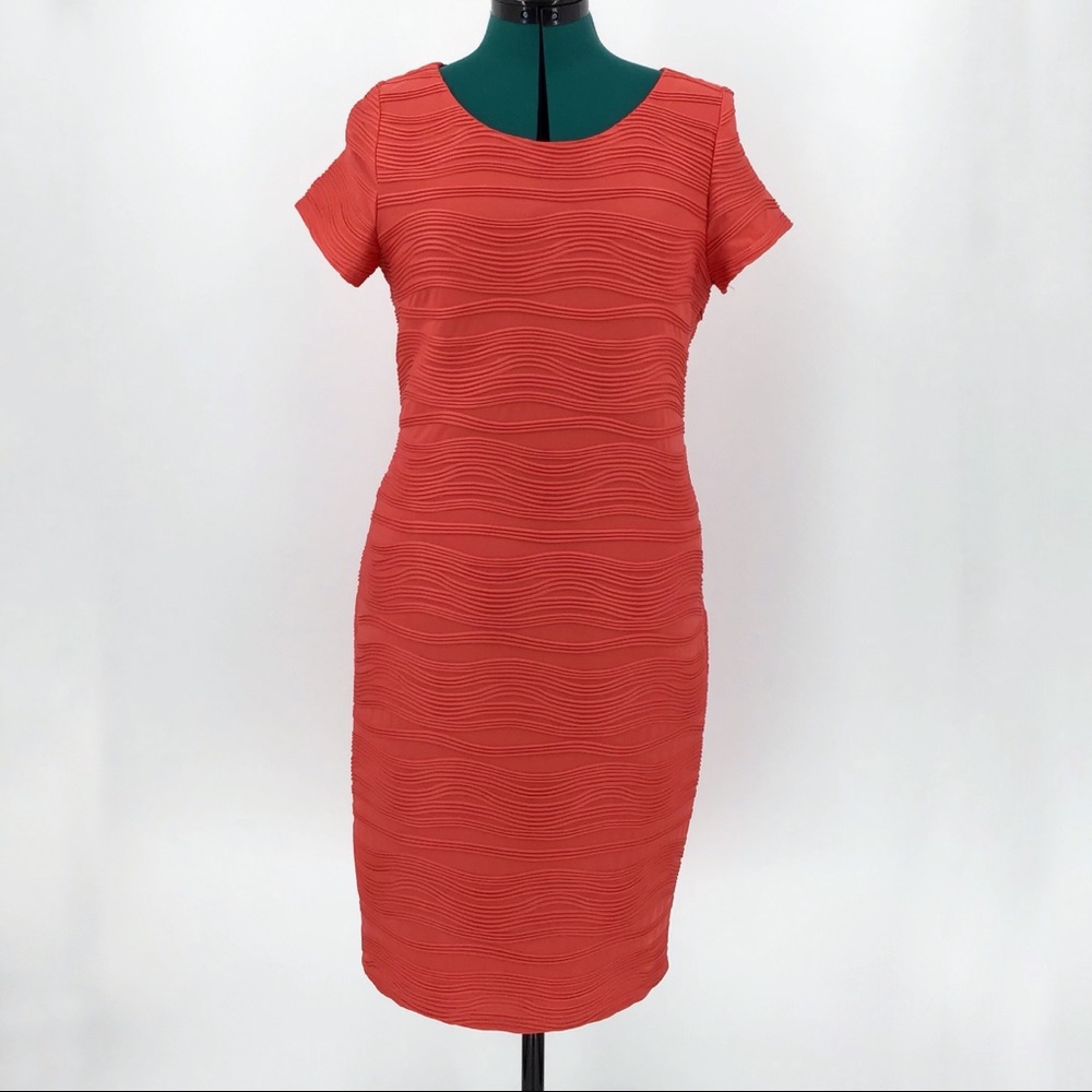 Michael Tyler Coral Short Sleeve Dress, Large